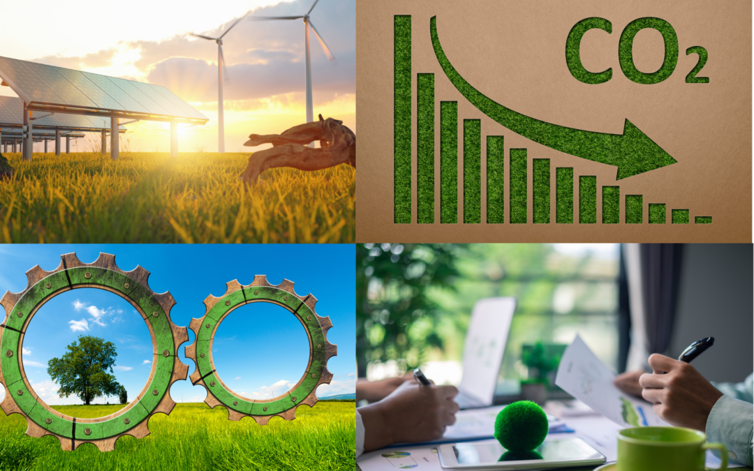 3 formas de mejorar el rendimiento ambiental de tu organización